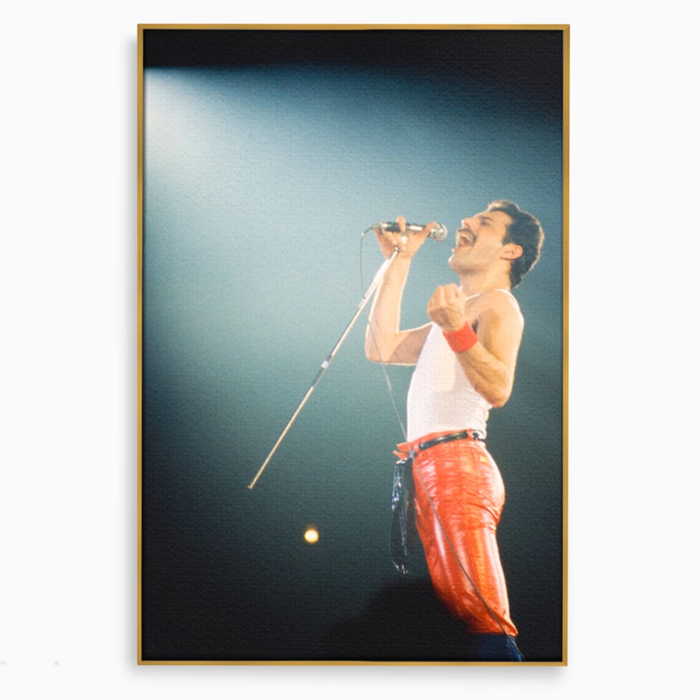 Tablou canvas cu tablou canvas cu freddie mercury, in rama de aluminiu auriu